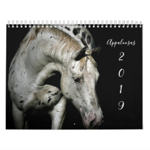 Appaloosa Calendar