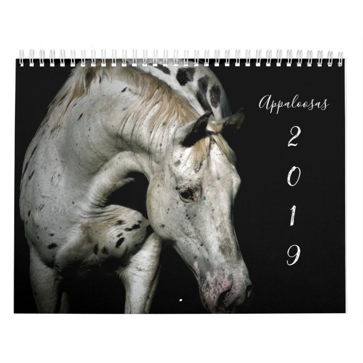 Appaloosa Calendar Zazzle