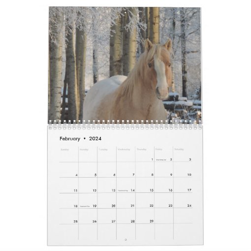 Appaloosa Calendar Zazzle