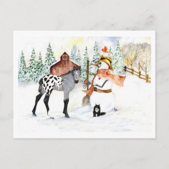Appaloosa Colt And Snowman Postcard by glorykmurphy at Zazzle