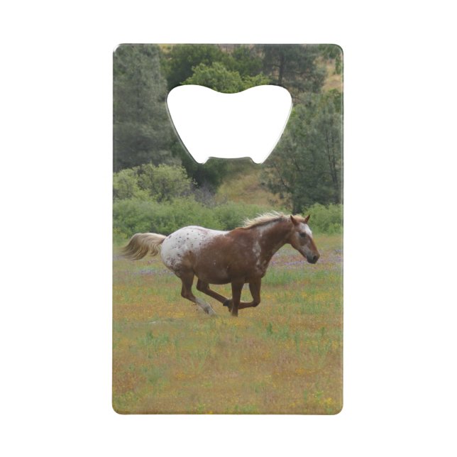 Appaloosa Credit Card Bottle Opener (Front)