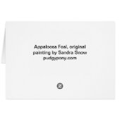 Appaloosa foal cards (Back Horizontal)