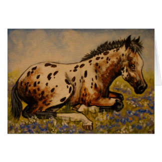Appaloosa foal cards