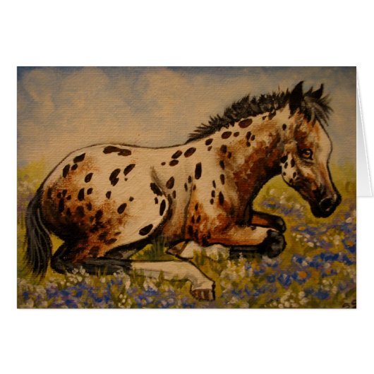 Appaloosa foal cards (Front Horizontal)