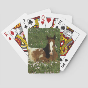 Appaloosa Foal Laying Down in Flowers Poker Cards