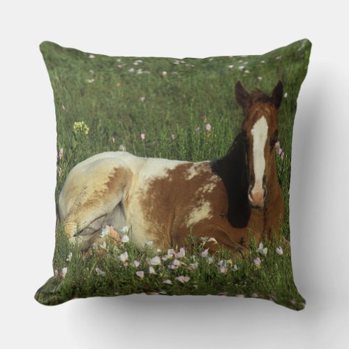 Appaloosa Foal Laying Down in Flowers Throw Pillow