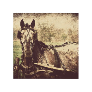 Appaloosa Harness Horse Wood Wall Decor