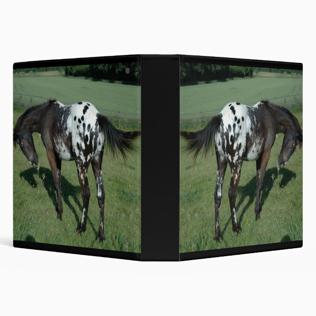 Appaloosa Horse 3 Ring Binder (Background)