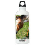 Appaloosa Horse Aluminum Water Bottle