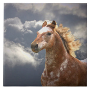 Appaloosa Horse and Clouds Ceramic Tile