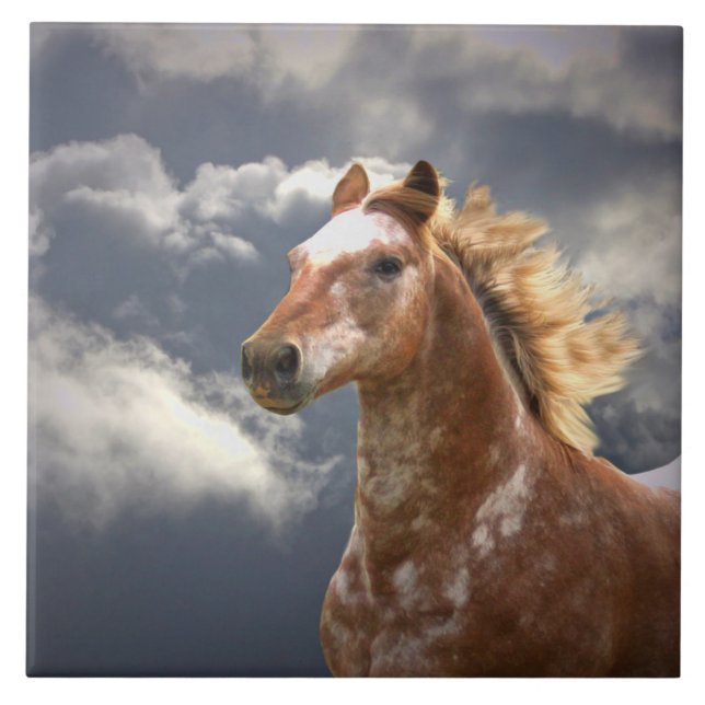Appaloosa Horse and Clouds Ceramic Tile (Front)