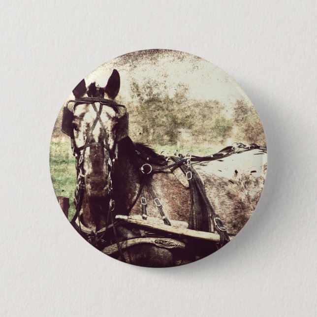 Appaloosa Horse Button (Front)