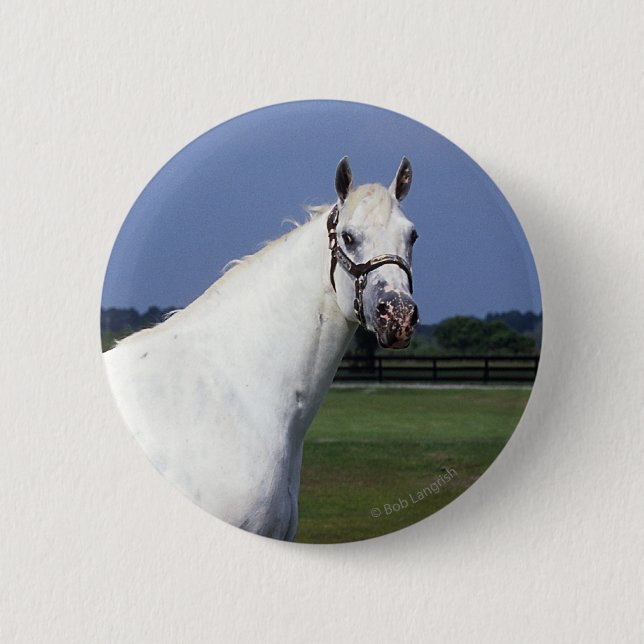 Appaloosa Horse Button (Front)