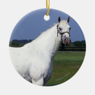 Appaloosa Horse Ceramic Ornament