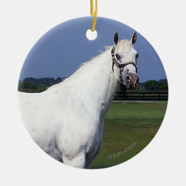 Appaloosa Horse Ceramic Ornament (Front)