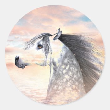 Appaloosa Horse Classic Round Sticker by deemac2 at Zazzle