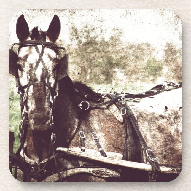 Appaloosa Horse Drink Coaster (Front)