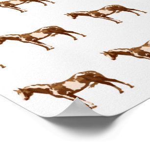 Appaloosa Horse Equestrian Watercolor Animal Poster