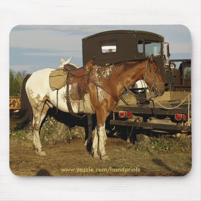 Appaloosa Horse Equine Western Design Mouse Pad (Front)