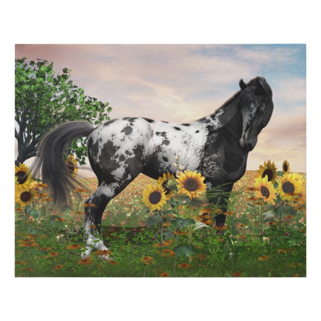 Appaloosa Horse Faux Wrapped Canvas Print (Front)