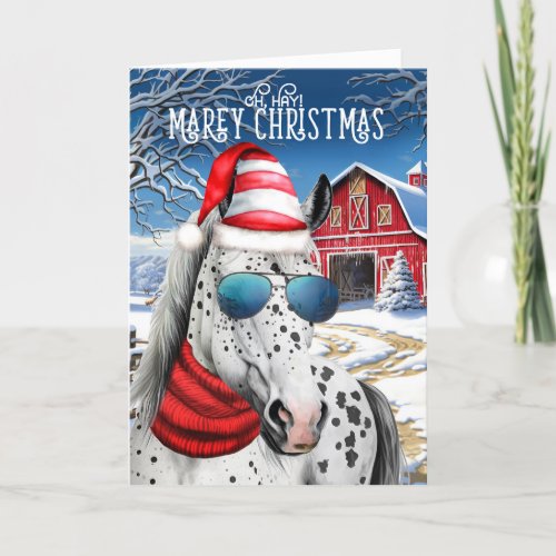 Appaloosa Horse Funny MAREy Christmas Holiday Card