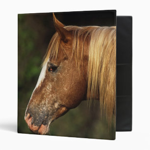 Appaloosa Horse Headshot 1 Binder
