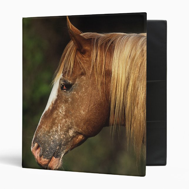 Appaloosa Horse Headshot 1 Binder (Front/Inside)