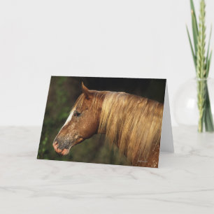 Appaloosa Horse Headshot 1 Card