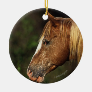 Appaloosa Horse Headshot 1 Ceramic Ornament