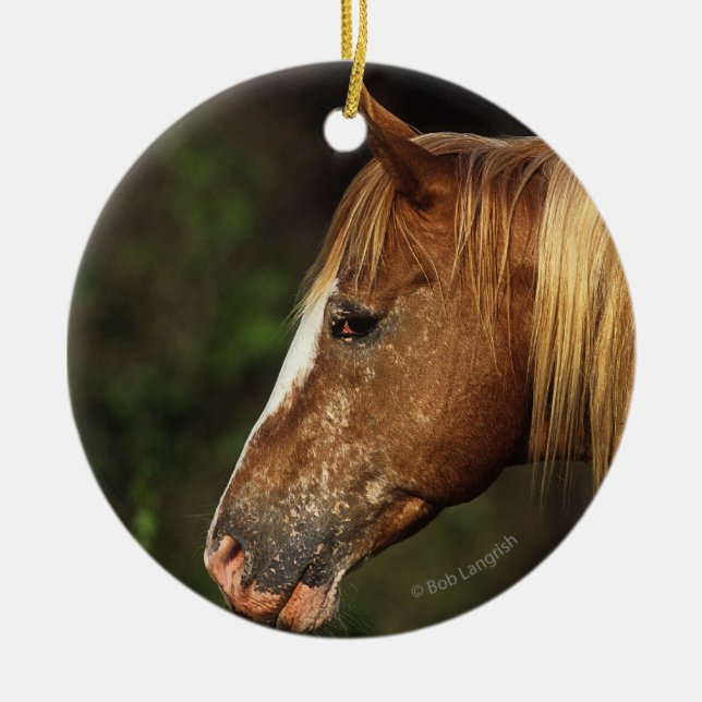 Appaloosa Horse Headshot 1 Ceramic Ornament (Front)