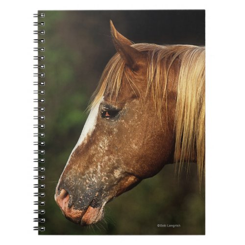 Appaloosa Horse Headshot 1 Notebook