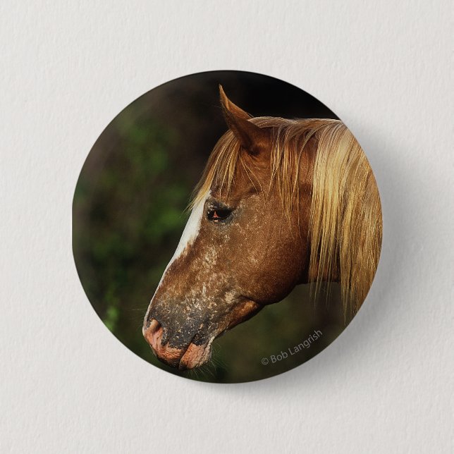 Appaloosa Horse Headshot 1 Pinback Button (Front)