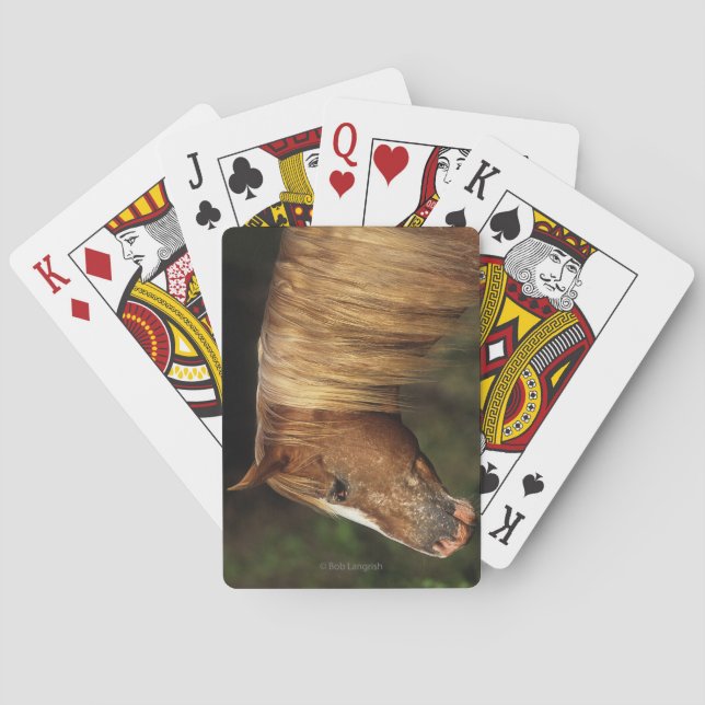 Appaloosa Horse Headshot 1 Poker Cards (Back)