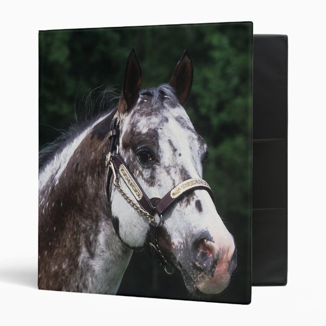 Appaloosa Horse Headshot 2 Binder (Front/Inside)
