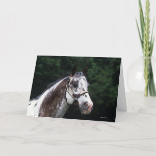 Appaloosa Horse Headshot 2 Card