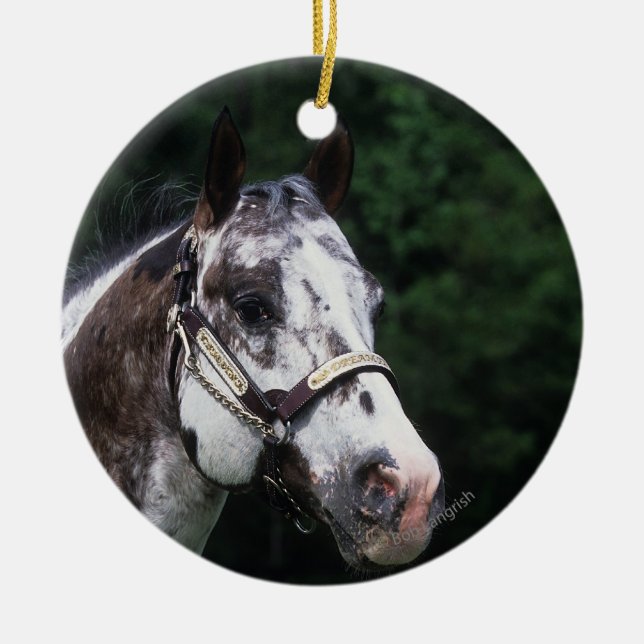 Appaloosa Horse Headshot 2 Ceramic Ornament (Front)