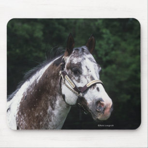 Appaloosa Horse Headshot 2 Mouse Pad