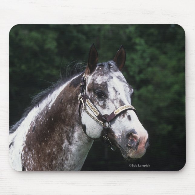 Appaloosa Horse Headshot 2 Mouse Pad (Front)