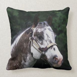Appaloosa Horse Headshot 2 Throw Pillow