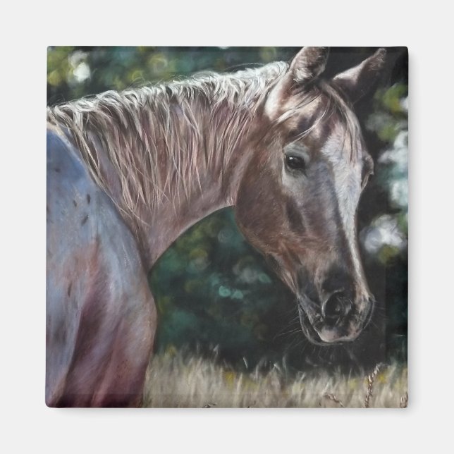 Appaloosa horse in a field magnet (Front)