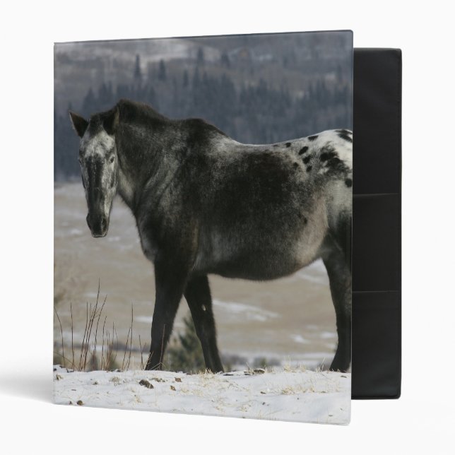 Appaloosa Horse in the Snow Binder (Front/Inside)