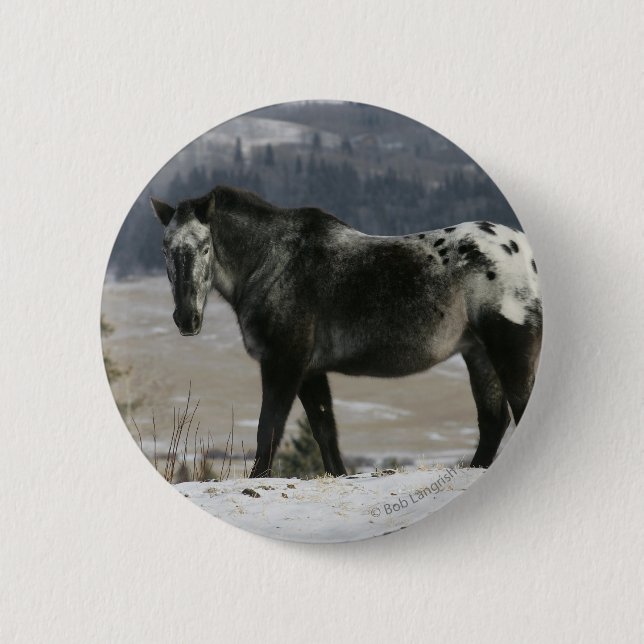 Appaloosa Horse in the Snow Button (Front)