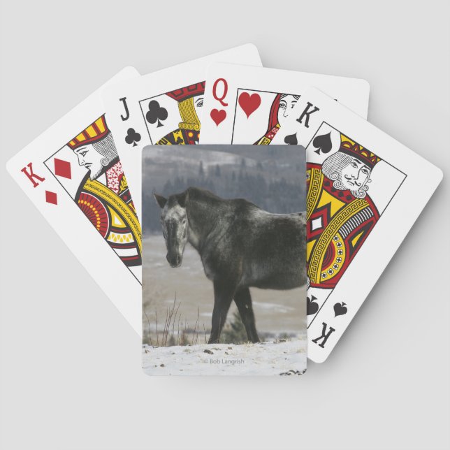 Appaloosa Horse in the Snow Poker Cards (Back)