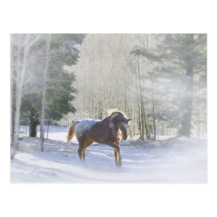 Appaloosa Horse in the Snow Season&#39;s Greetings Postcard