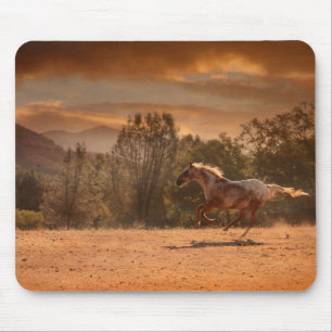 Appaloosa Horse Mousepad