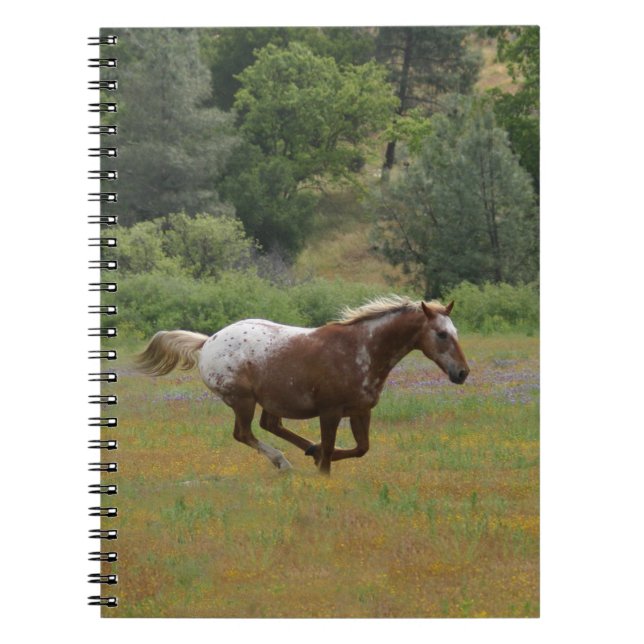 Appaloosa Horse Notebook (Front)