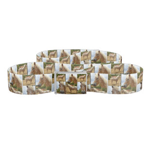 Appaloosa Horse Photo Collage, Belt