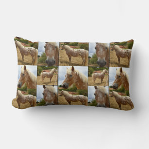 Appaloosa Horse, Photo Collage Lumbar Cushion. Pillow