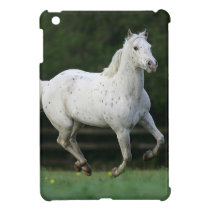 Appaloosa Horse Running 1 iPad Mini Case