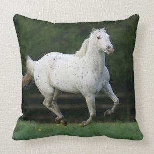 Appaloosa Horse Running 1 Throw Pillow